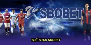 thumb thể thao sbobet